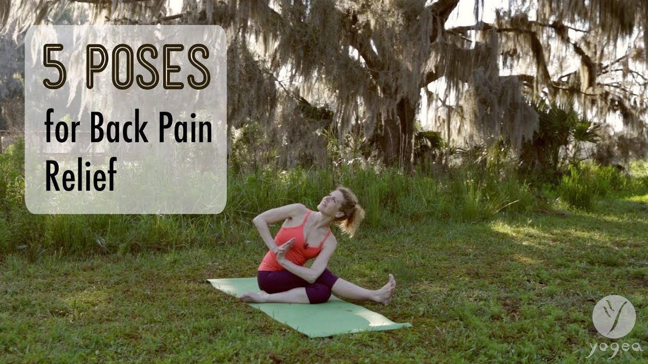 5 Yoga Poses for Back pain relief - YouTube