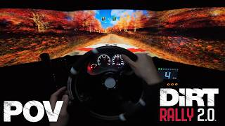 DiRT Rally 2.0 POV [Audi Sport quattro S1 E2]