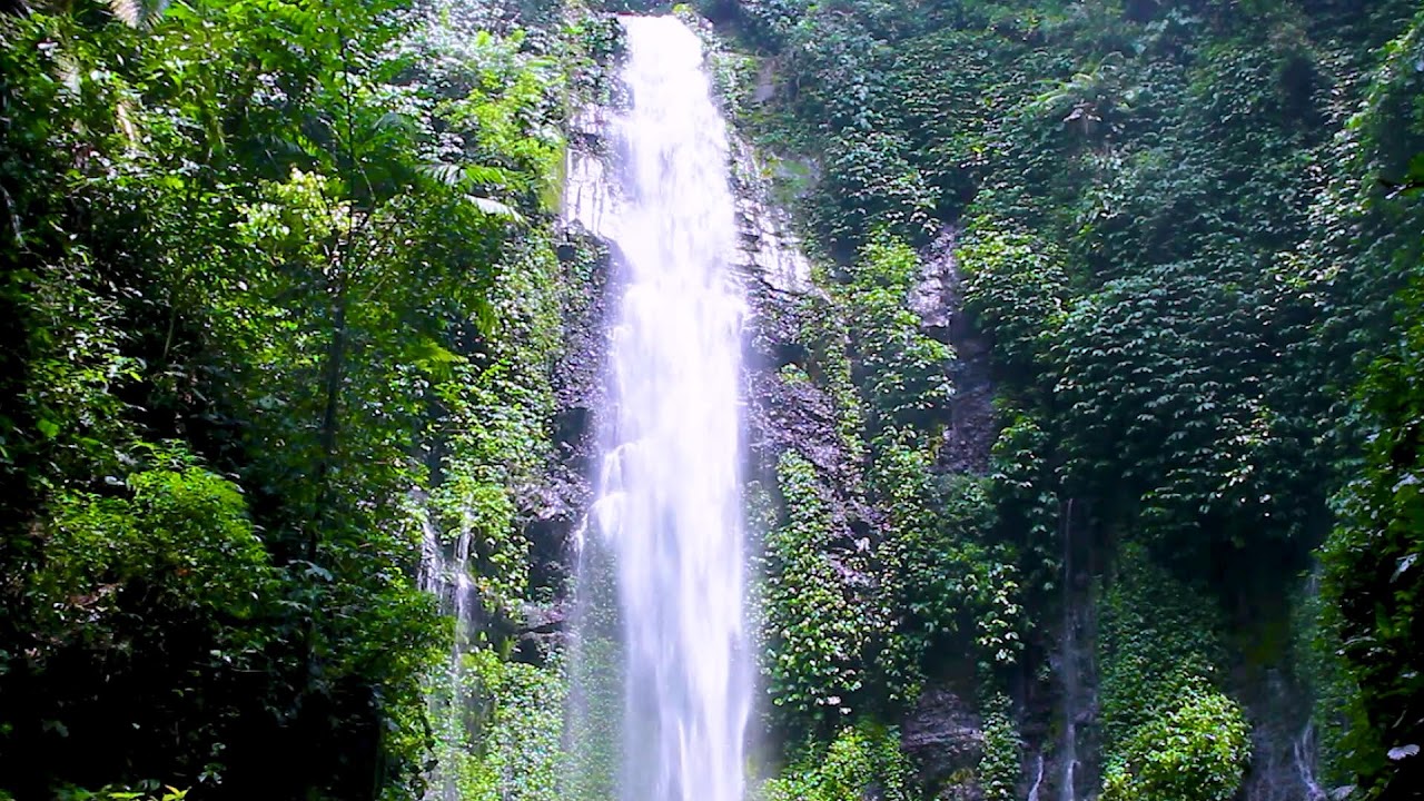 Mountain Stream Running Water Calm | Forest Flow & Soothing Sleep White Noise