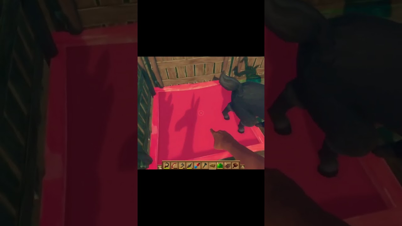 Raft- La capra nobile… Lady Capra 😂