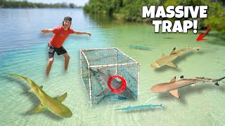 I Built a GIANT Fish Trap to Catch SHARKS and EXOTIC Fish!! *will it work?*