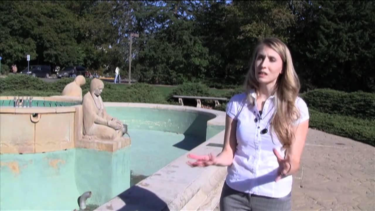 Proposal to Keep Campustown Clean