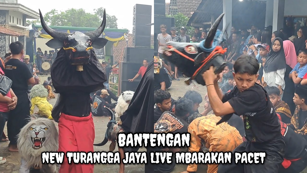 BANTENGAN ‼️ NEW TURANGGA JAYA LIVE MBARAKAN CEMPOKOLIMO PACET