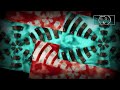 Klasky Csupo in Electronic Sounds Effects R10 vs @the_hell_is_that [10/14]