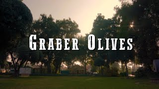 Graber Olives 2016