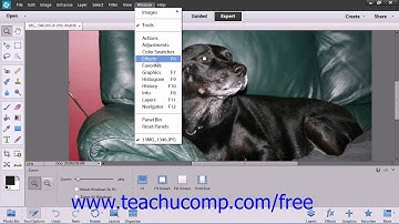 Photoshop Elements 12 Tutorial Setting Preferences Adobe Training Lesson 3.10