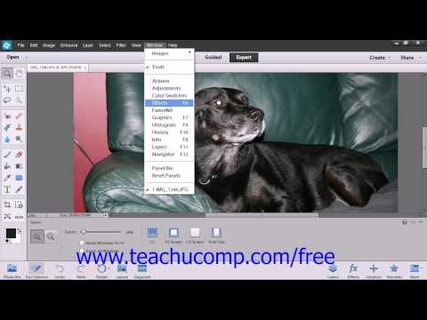 Photoshop Elements 12 Tutorial Setting Preferences Adobe Training Lesson 3.10