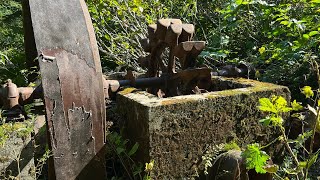 A Hidden Powerhouse in the Woods!