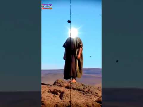 قصة النبي الذي اخفى موته عن الجن سنة كاملة وكيف كشفت حشرة موته جزء1