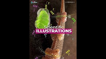 W27 Youtube campaign US SHORT LNK