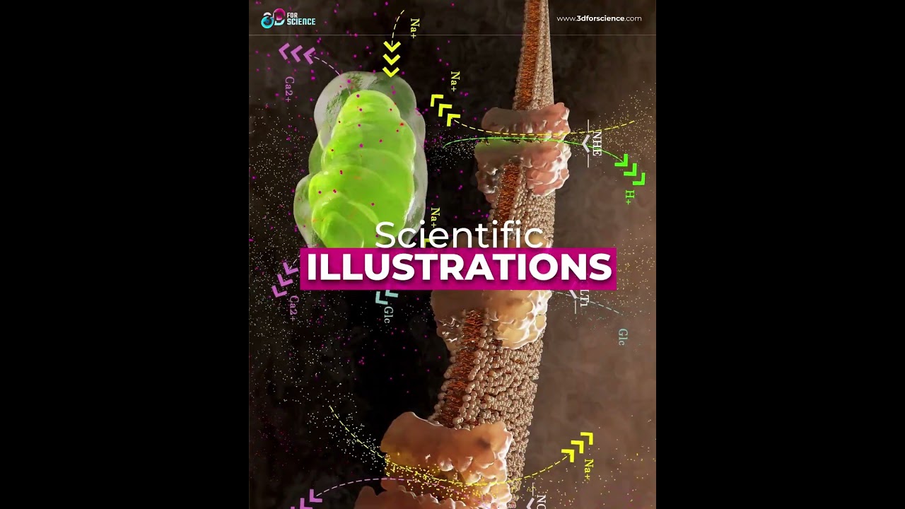 W27 Youtube campaign US SHORT LNK