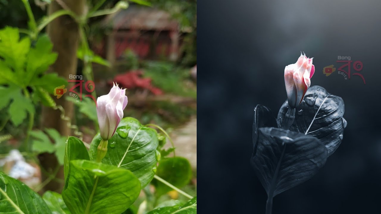 How to edit Blue Tone Mood in lightroom | Dark moody tone photo editing