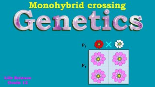 Genetics | Monohybrid Crosses | Life science grade 12 |