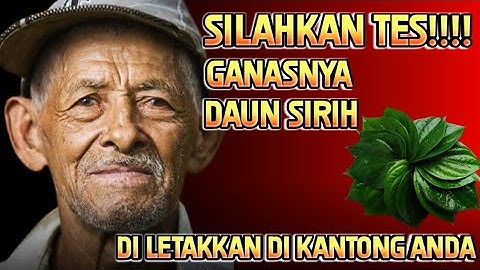 Rahasia Ampuh: Daun Sirih di Kantong Membawa Rezeki!