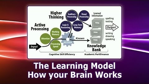 The Learning Model - How your Brain Works – (952) 226-1115 -  LearningRxSavage