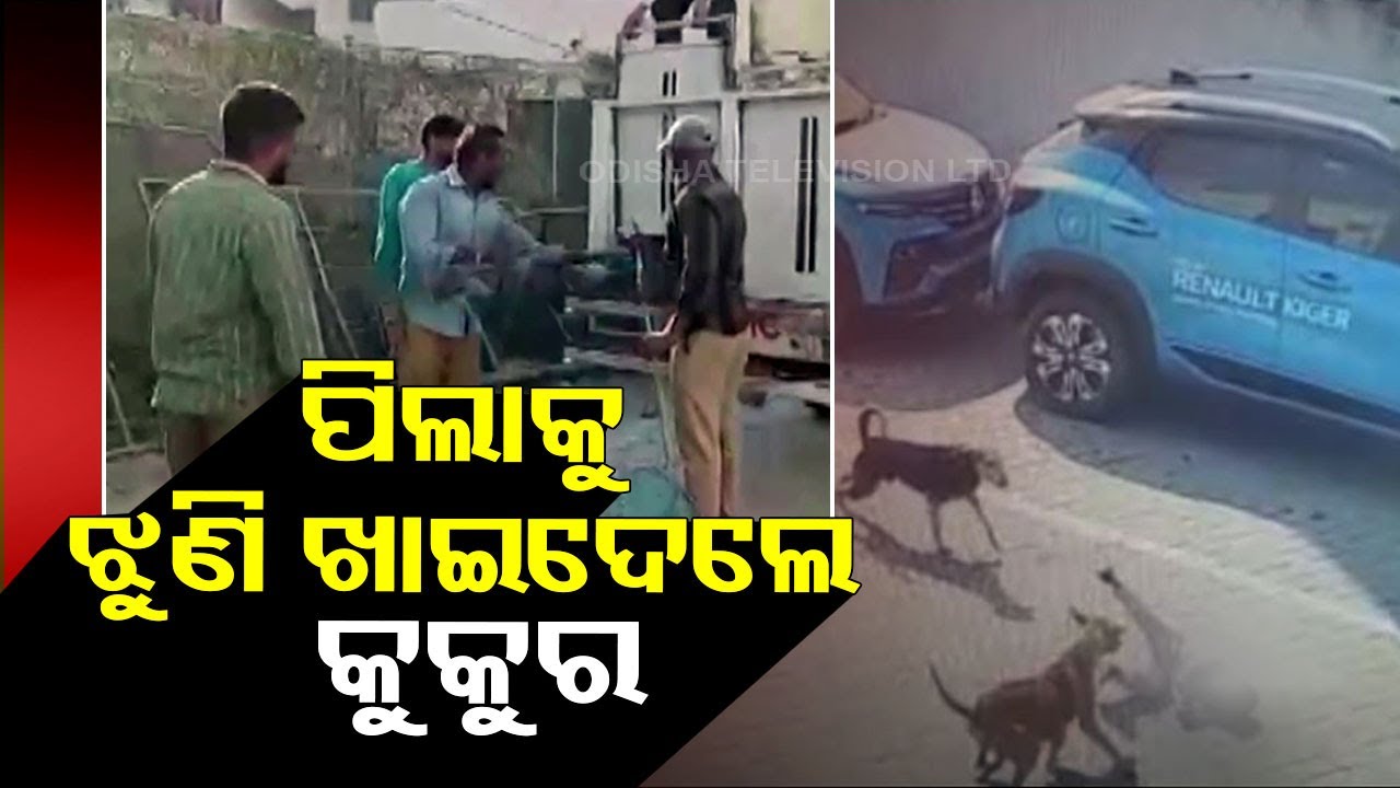 Child mauled to death by stray dogs in Hyderabad - YouTube