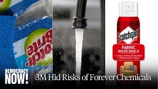 PFAS Cover-Up: How 3M Hid Risks of Forever Chemicals & "Gaslit" Scientist Who Tried to Sound Alarm