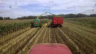 chopping corn