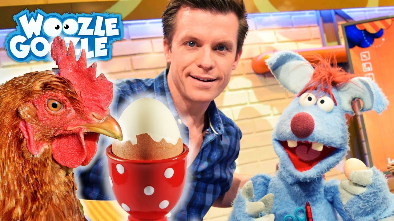 Woher kommt ein Frühstücksei? l WOOZLE GOOZLE - YouTube