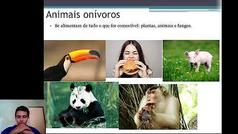 Que tipo de digestão eles realizam *?