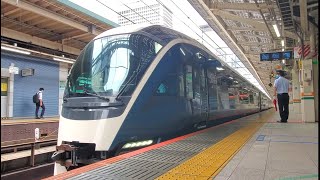 東京駅11:00発「E261系RS-1編成 特急サフィール踊り子1号 伊豆急下田行き」(MHあり)