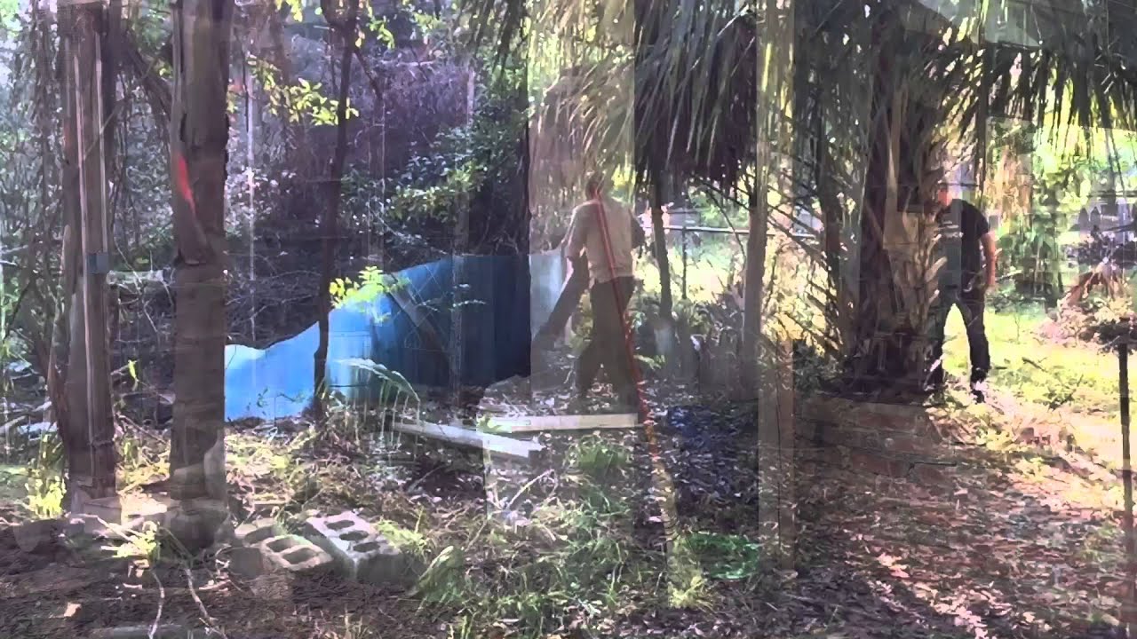 1st Volunteer Day - Sustainable Family Farm