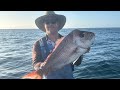 Solid snapper in the shallows
