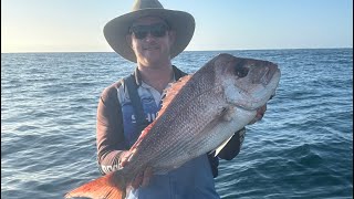 Solid snapper in the shallows