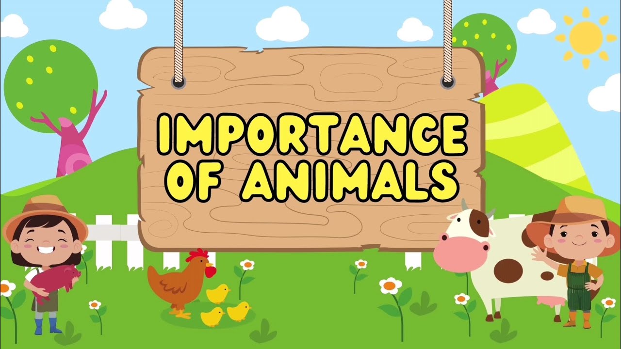 Importance of Animals || #shelter #animalsvideo #sciencelessons - YouTube