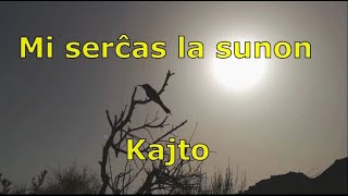 Mi serĉas la sunon