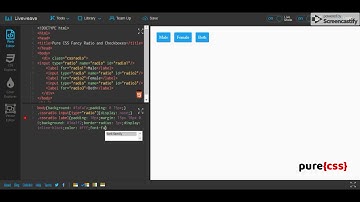 Custom Radio Button and Checkbox Button Using CSS | Pure CSS Tutorial