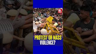 Arnab Asks If Cockroach Janata Party's Protest At Jantar Mantar Was Mass Violence