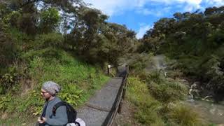 Springs Near Frying Pan Lake, Waimangu, New Zealand