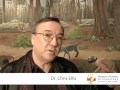 Life and Technology in the Archaic Period of First Nations Cultures