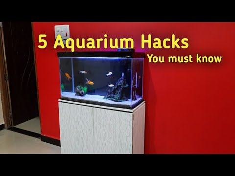 5 Aquarium hacks you must know | Aquarium tips and tricks |