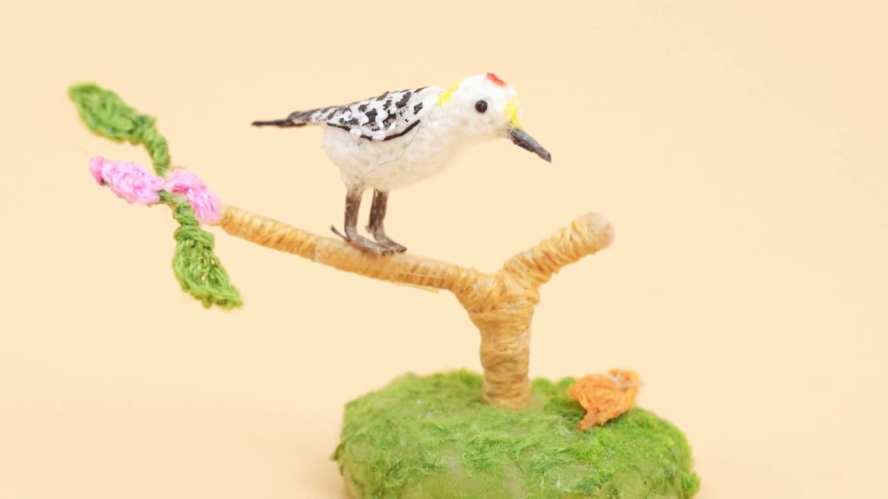 Golden Fronted Woodpecker Crochet Bird Hagimi Crochet 