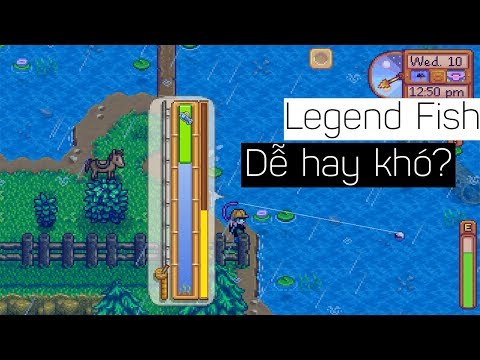 Video Stardew Valley | Câu cá LEGEND - youtube