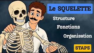 L'OSTÉOLOGIE (Organisation du Squelette Humain, Catégories d'os, Structure, Fonctions)