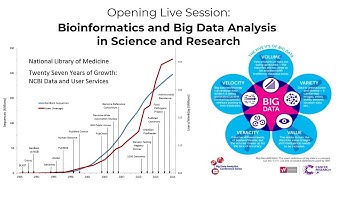 Exploring Bioinformatics and Big Data Analysis in Science and Research: Start your journey.