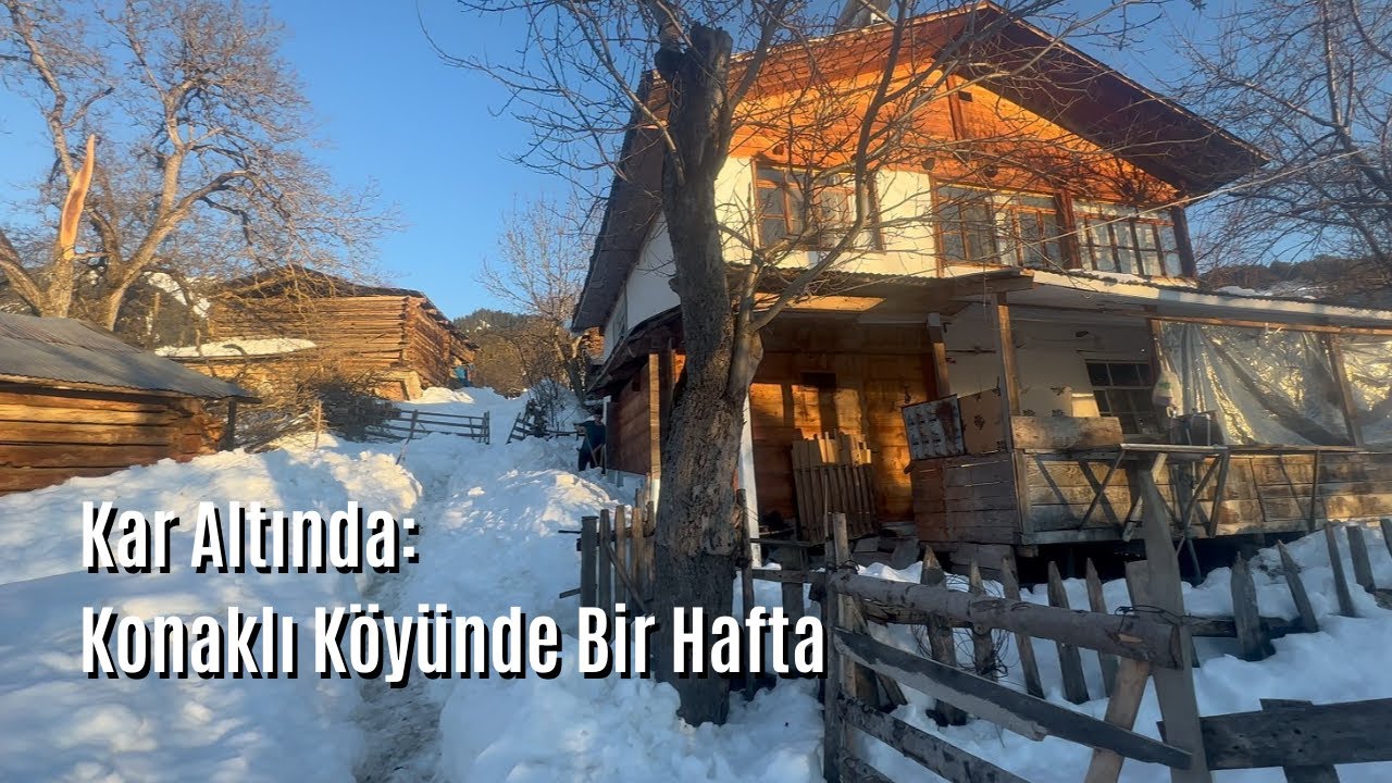 Kar Altında: Konaklı Köyünde Bir Hafta - Ardanuç