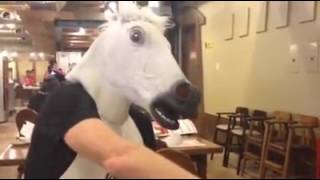 The Icelandic Horse, Japan Jingisukan