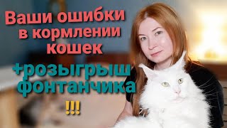 Ошибки в кормлении кошек/РОЗЫГРЫШ ФОНТАНЧИКА!