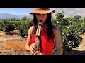 Native American Flute Maya Drone in A - Daniela Riojas - Quetzalcoatl Flutes