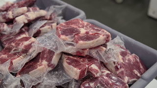 Feast Tv Paradise Locker Meats