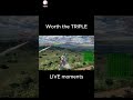 live moments from TikTok