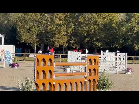 FTS Killossery Konfusion - CSI3*** Gassin - 29 09 2023