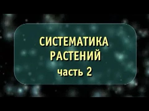 Биология. Систематика растений. Часть 2. Отдел голосеменные