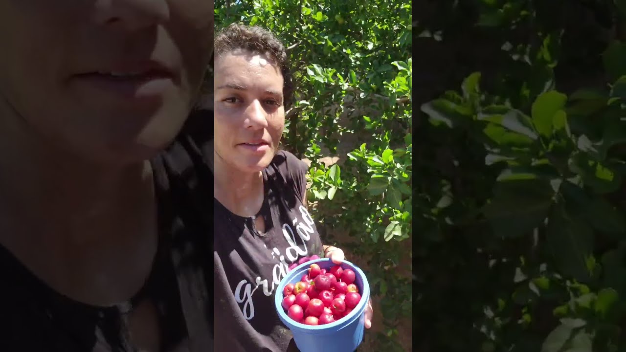 COLHI UMAS ACEROLAS E FIZ SUCO ❤️