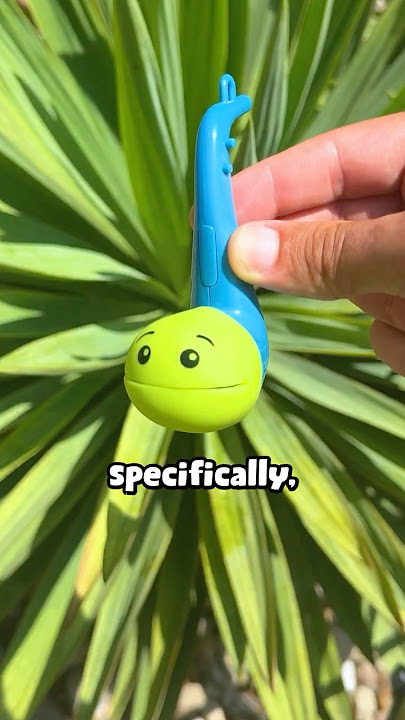 what a Hoshi Horn looks like