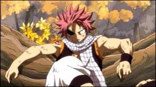 It Has Begun Fairy Tail AMV